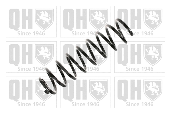 Suspension Spring (QCS5898)