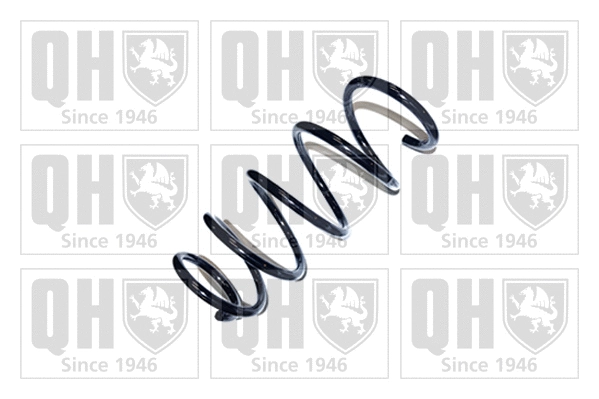 Suspension Spring (QCS6099)