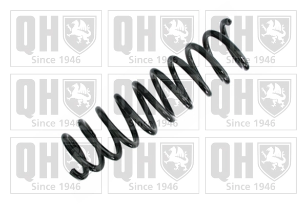 Suspension Spring (QCS8563)