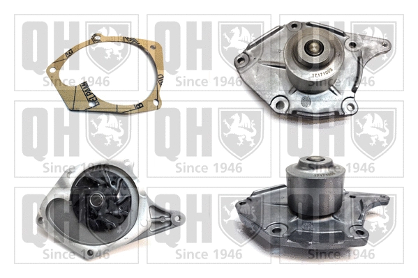 Water Pump, engine cooling (QCP3508)