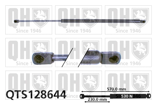 Gas Spring, boot/cargo area (QTS128644)