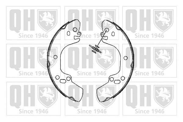Brake Shoe Set (BS1031)