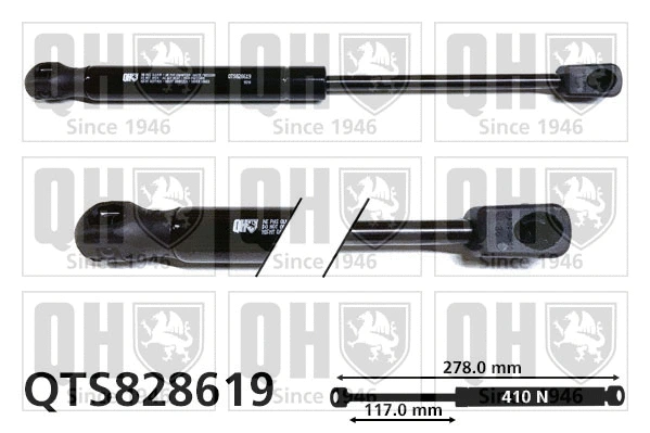 Gas Spring, bonnet (QTS828619)