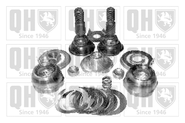 Repair kit, supporting/ball joint (QSK96S)