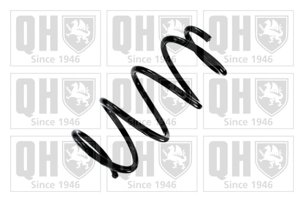 Suspension Spring (QCS9106)