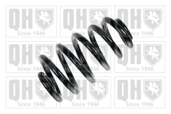 Suspension Spring (QCS5539)