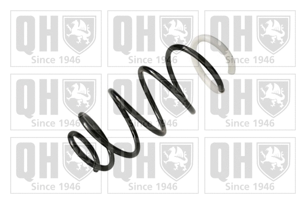 Suspension Spring (QCS6023)