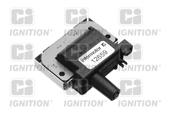 Ignition Coil (XIC8161)