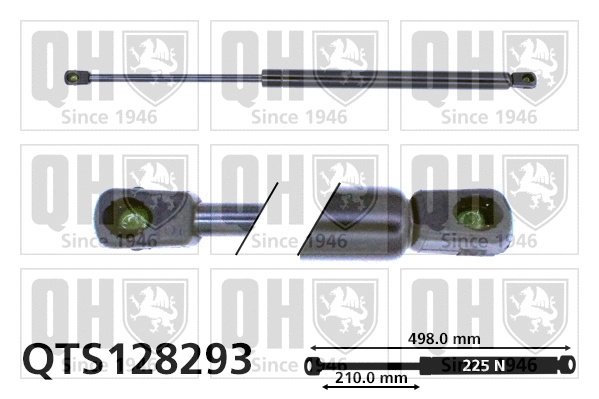 Gas Spring, boot/cargo area (QTS128293)