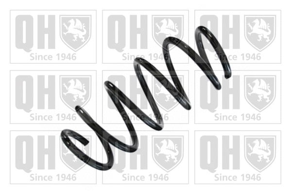 Suspension Spring (QCS5853)