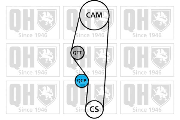 Timing Belt Kit (QBK129)