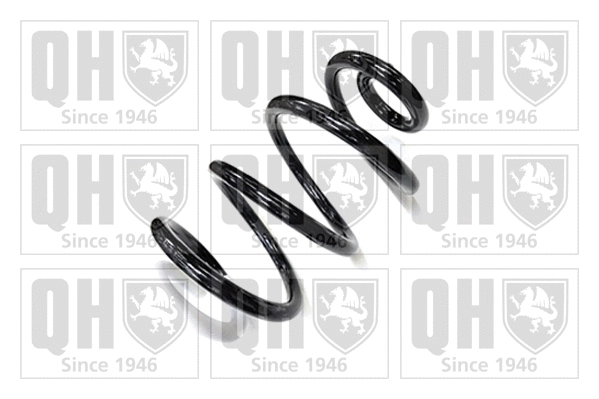 Suspension Spring (QCS5774)