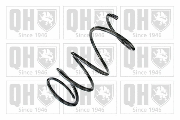 Suspension Spring (QCS8888)