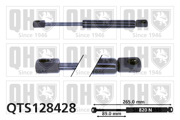 Gas Spring, boot/cargo area (QTS128428)