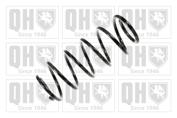 Suspension Spring (QCS6950)