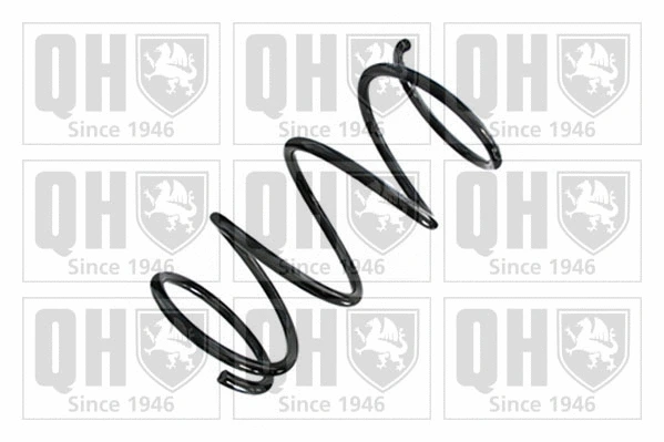 Suspension Spring (QCS8794)