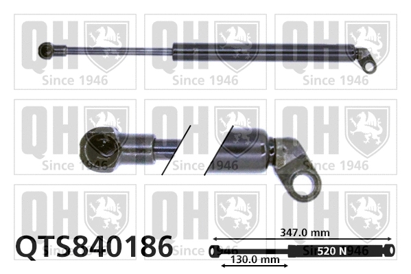 Gas Spring, boot/cargo area (QTS840186)