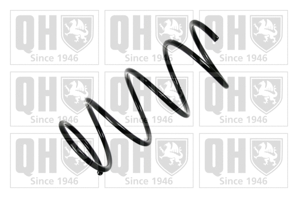 Suspension Spring (QCS5988)