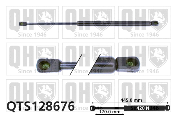 Gas Spring, boot/cargo area (QTS128676)