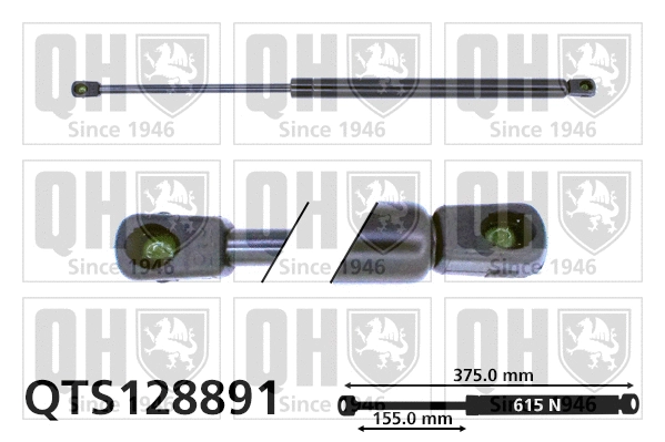 Gas Spring, boot/cargo area (QTS128891)