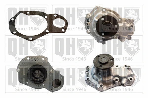 Water Pump, engine cooling (QCP3137)