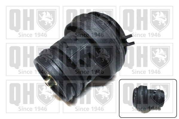 Mounting, engine (EM2424)