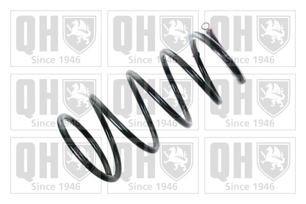Suspension Spring (QCS5136)