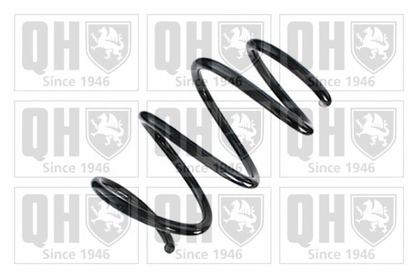 Suspension Spring (QCS8737)