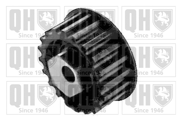 Tensioner Pulley, timing belt (QTT169)
