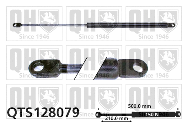 Gas Spring, boot/cargo area (QTS128079)