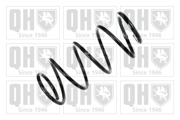 Suspension Spring (QCS7398)