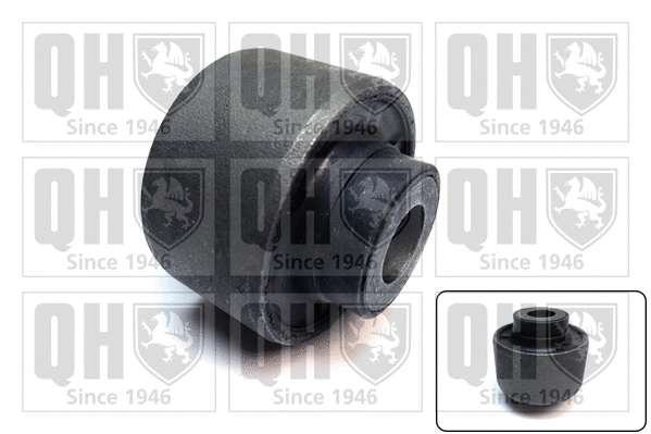 Mounting, control/trailing arm (EMS8684)