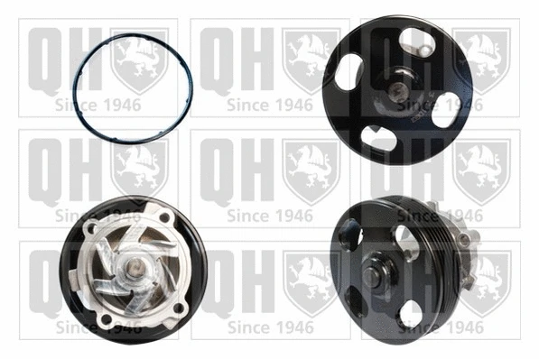 Water Pump, engine cooling (QCP3768)