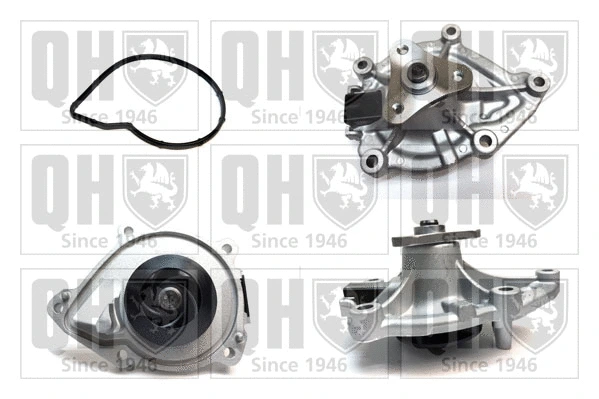 Water Pump, engine cooling (QCP3657)