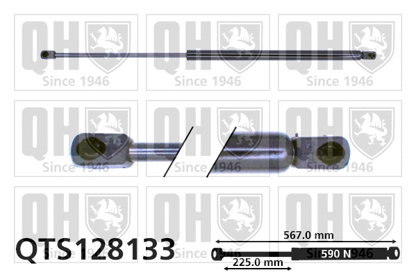 Gas Spring, boot/cargo area (QTS128133)
