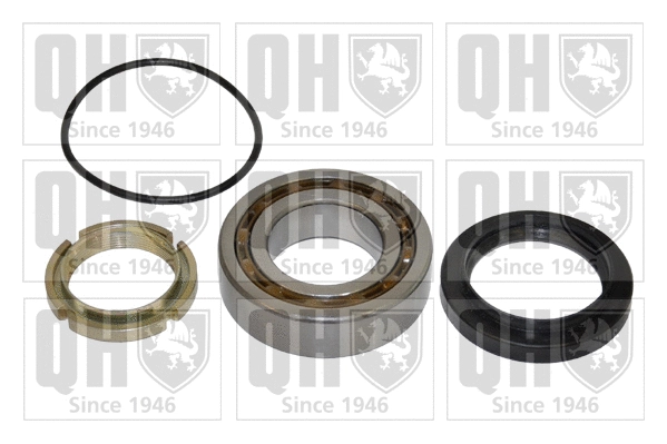 Wheel Bearing Kit (QWB633)