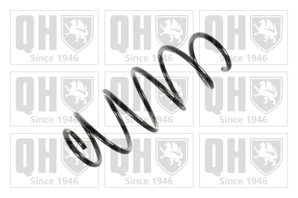 Suspension Spring (QCS6034)