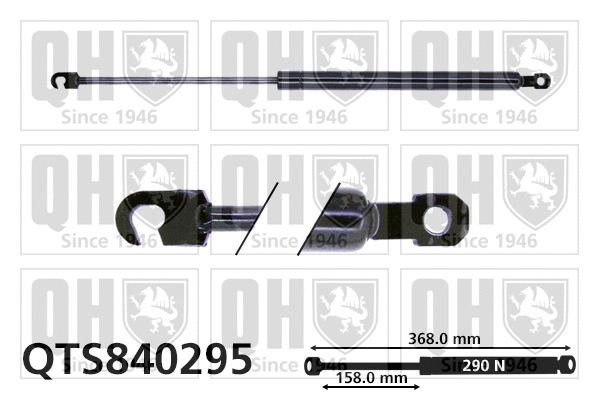Gas Spring, boot/cargo area (QTS840295)