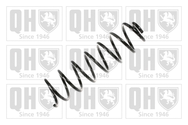Suspension Spring (QCS6301)