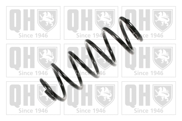 Suspension Spring (QCS6981)