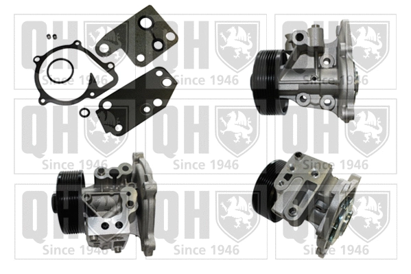 Water Pump, engine cooling (QCP3748)