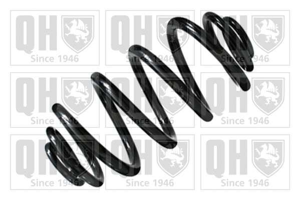 Suspension Spring (QCS7788)