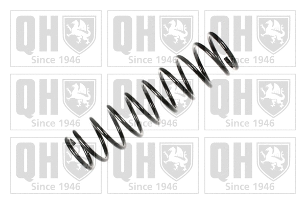 Suspension Spring (QCS6026)