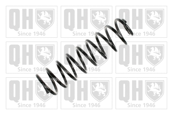 Suspension Spring (QCS8178)
