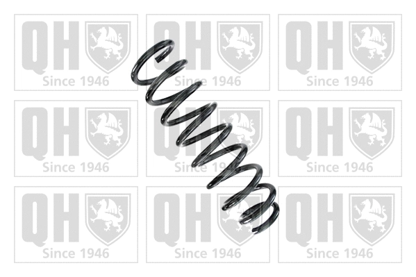 Suspension Spring (QCS8110)