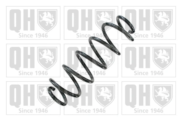 Suspension Spring (QCS9184)