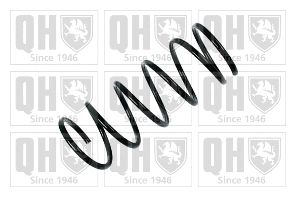 Suspension Spring (QCS7839)