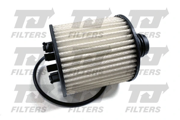Oil Filter (QFL0404)