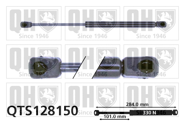 Gas Spring, boot/cargo area (QTS128150)