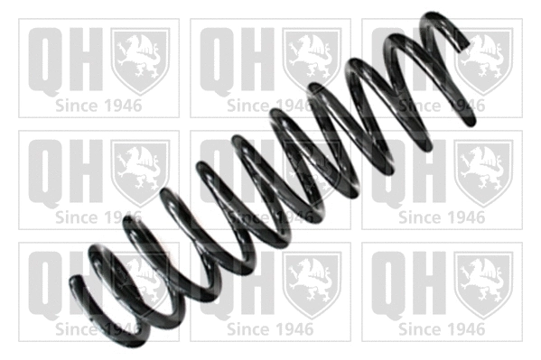 Suspension Spring (QCS5167)